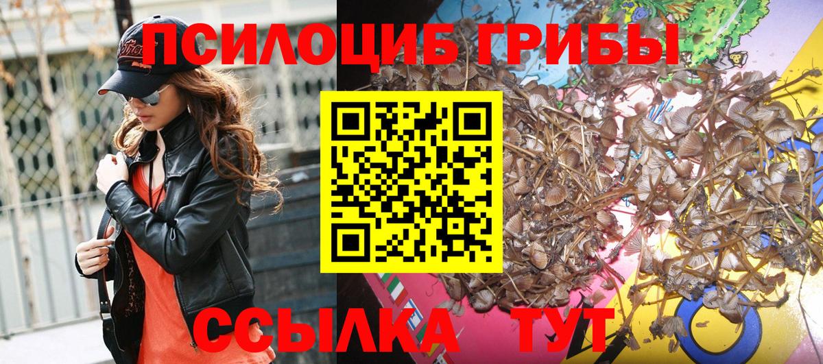 Галлюциногенные грибы MAGIC MUSHROOMS Кольчугино