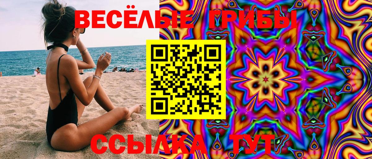 что такое   Псилоцибиновые грибы MAGIC MUSHROOMS  Галлюциногенные грибы ЛСД  Вход с VPN  Кольчугино 