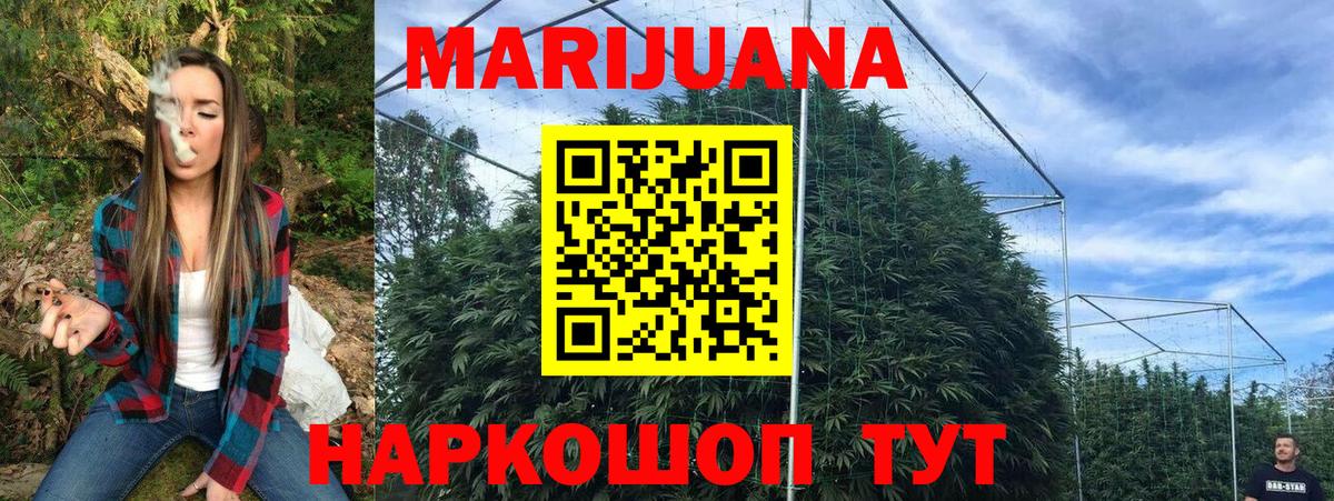 МАРИХУАНА сатива Кольчугино